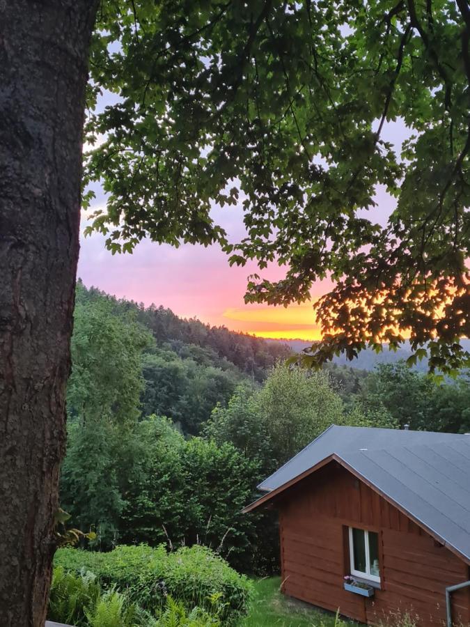 Vila Teatralna1 Piechowice  Exteriér fotografie